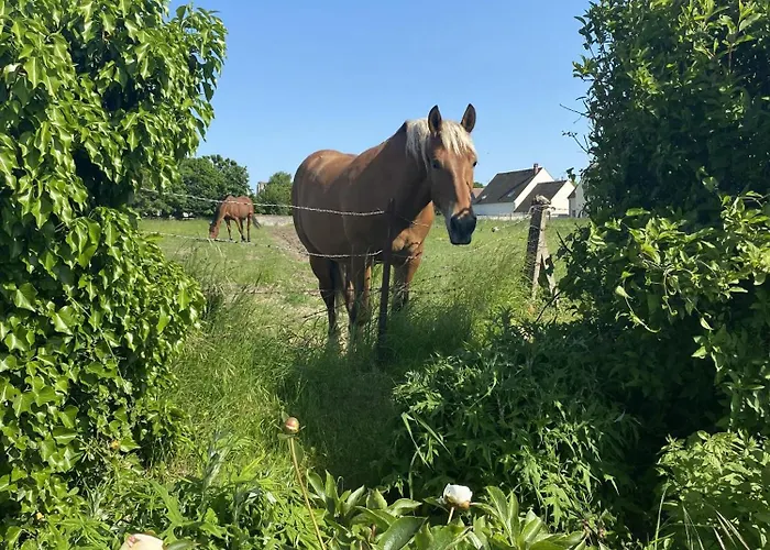 Maison Prieure Borest